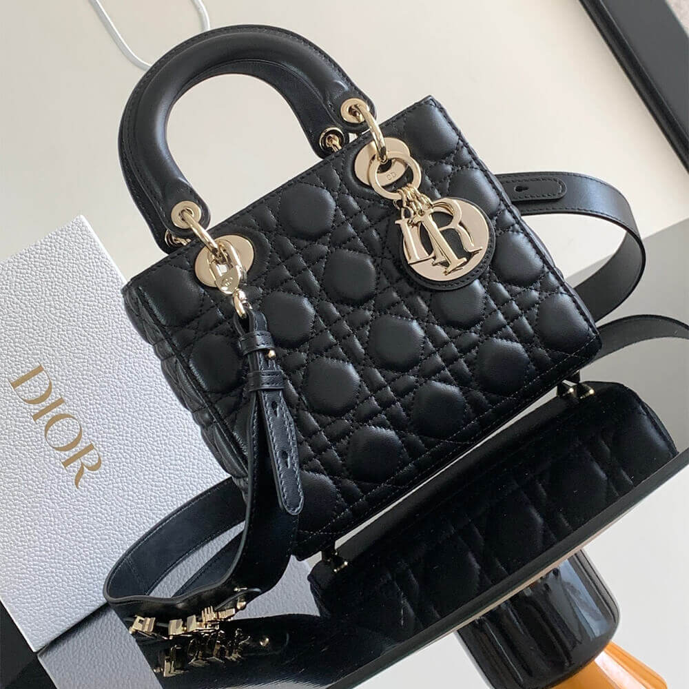 small lady D*or my abcD*or bag