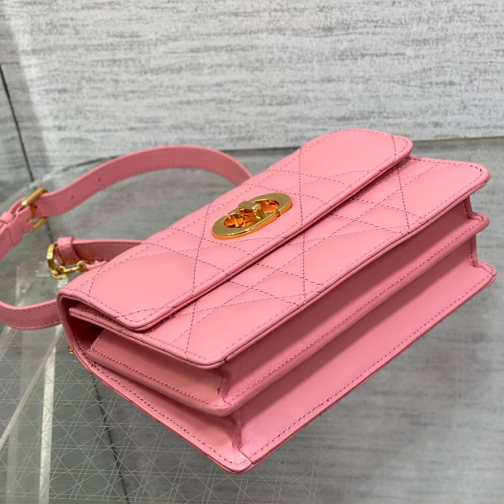 D*or miss caro mini bag