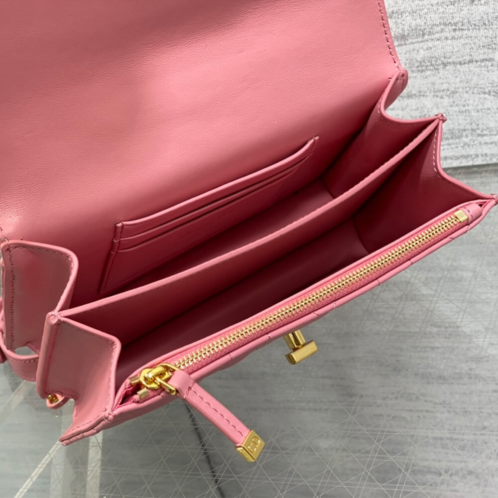 D*or miss caro mini bag